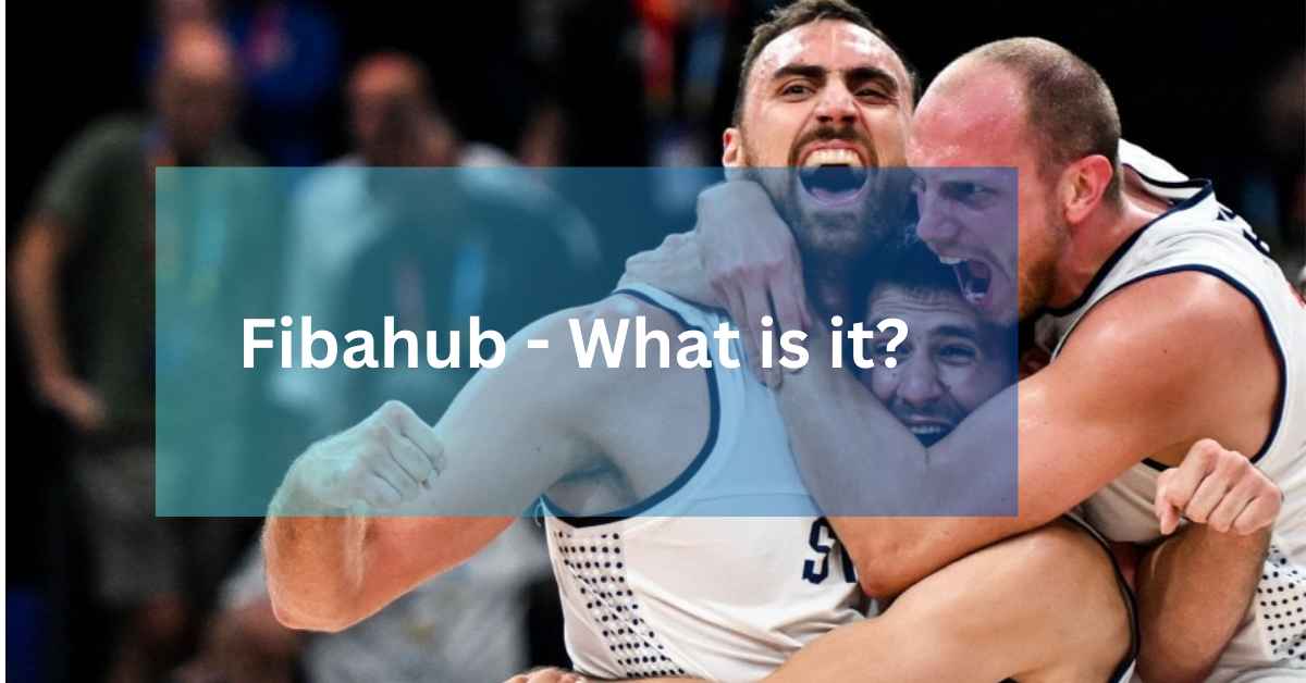 Fibahub