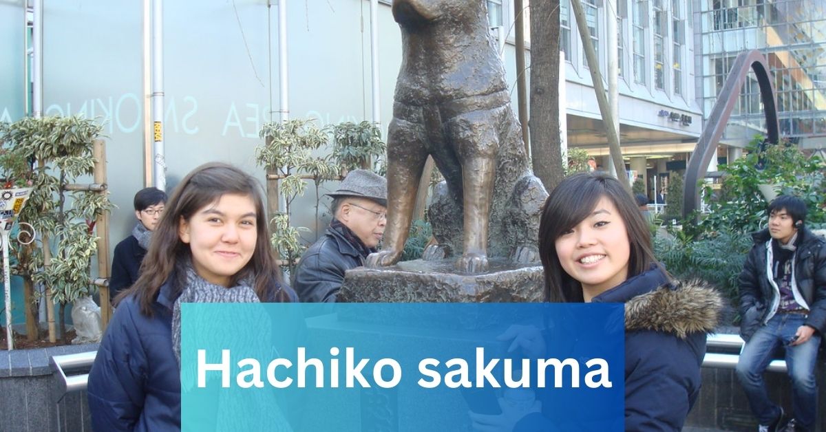 Hachiko sakuma