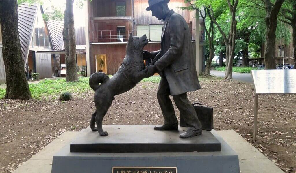 History of Hachiko Sakuma: