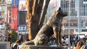 Hachiko's Statue – A Symbol of Friendship and Loyalty: