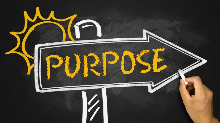 Purpose and Significance: