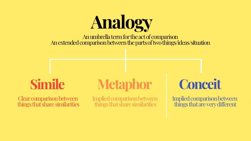 Analogies and Metaphors: Decoding Crucialidade: