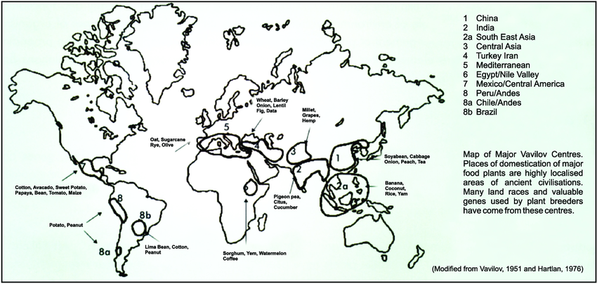 The World of Chagaras: Origins and Diversity