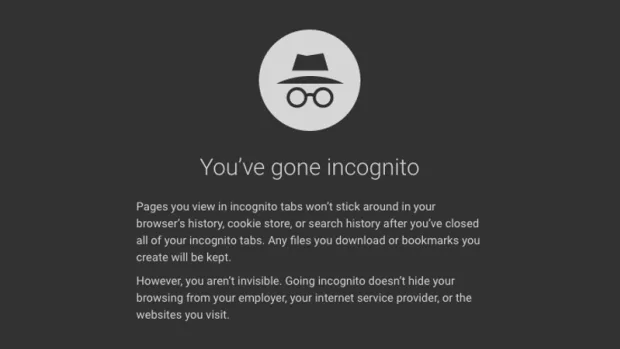 Dancing in Anonymity: Navigating the Online Realm Incognito