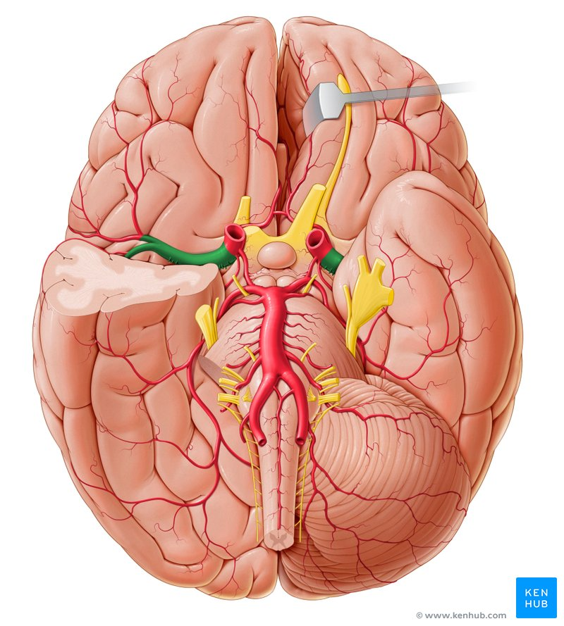 Overview of MCA and its Significance: