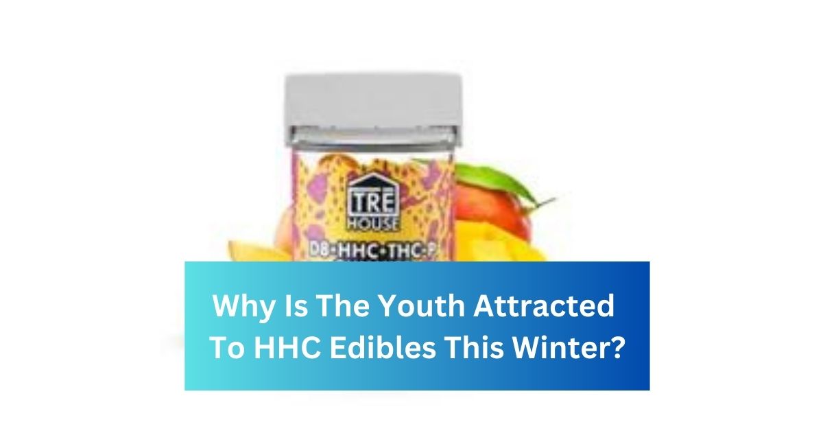 Why Is The Youth Attracted To HHC Edibles This Winter