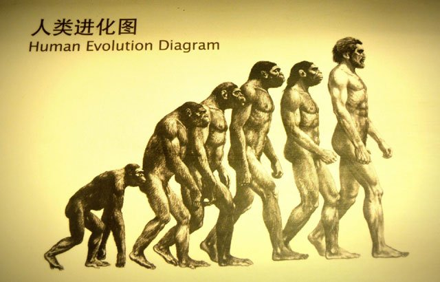 History and Evolution: