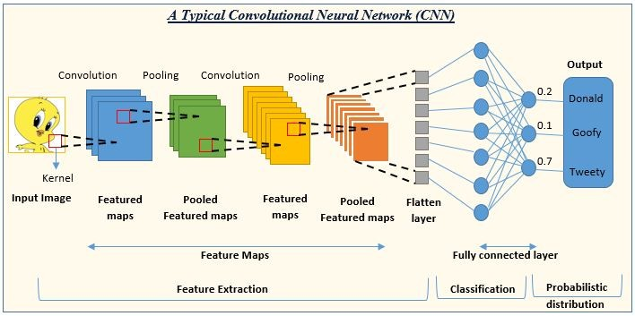 Convolutional Neural Networks in Spanish: