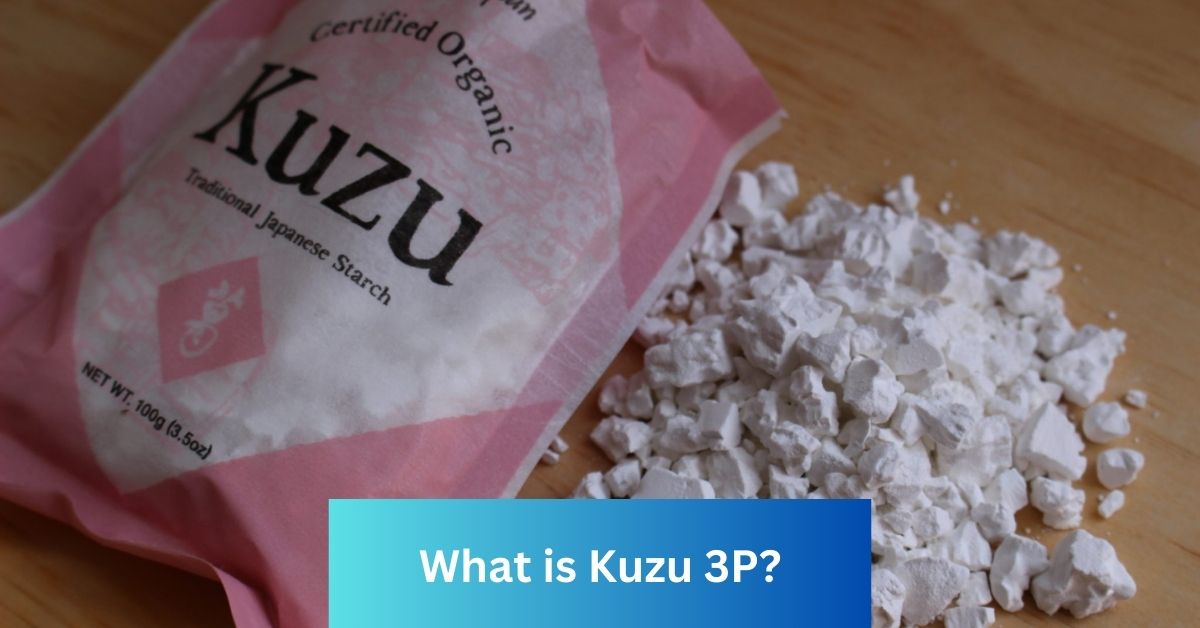 What is Kuzu 3P?