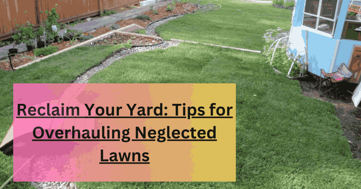 Reclaim Your Yard Tips for Overhauling Neglected Lawns