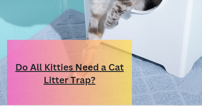 Do All Kitties Need a Cat Litter Trap?